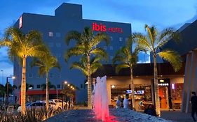 Ibis Jatai